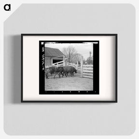 アートポスター-Cattle at Aledo Stockyards
 - ラッセル リー Poster.