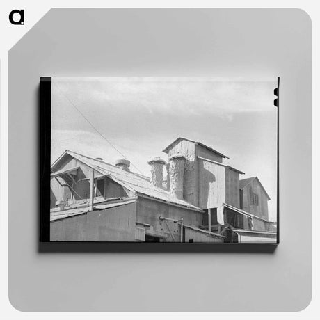 アートパネル-Cotton Gin, Taylor, Texas
 - ラッセル リー Canvas.