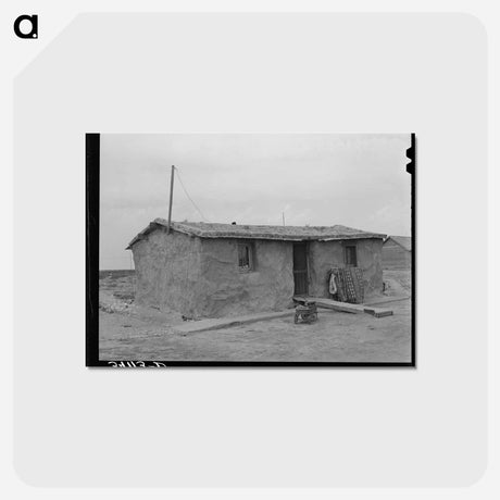 アートポストカード-Sod House of the Schoenfeldts, Sheridan County, Kansas
 - ラッセル リー Postcard.