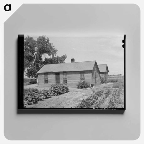 アートパネル-Farm Security Administration Client's Home, Ordway, Colorado
 - ラッセル リー Canvas.