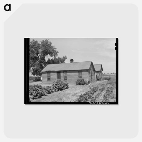 アートポストカード-Farm Security Administration Client's Home, Ordway, Colorado
 - ラッセル リー Postcard.