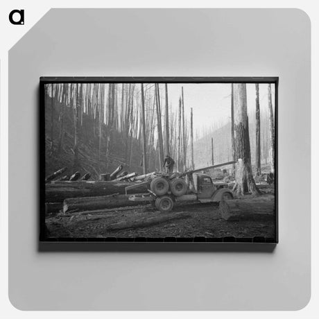 アートパネル-Logging Truck and Trailer, Tillamook County, Oregon
 - ラッセル リー Canvas.