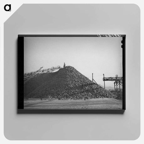 アートパネル-Sugar Beets, Lewiston, Utah
 - ラッセル リー Canvas.