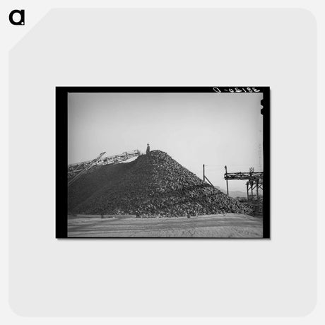 アートポストカード-Sugar Beets, Lewiston, Utah
 - ラッセル リー Postcard.