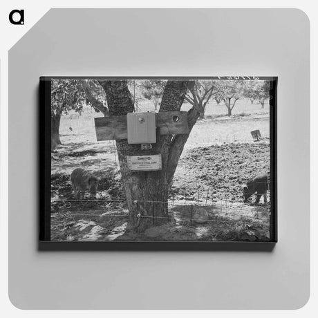 アートパネル-Electric Fence, Animas River Valley, Colorado
 - ラッセル リー Canvas.