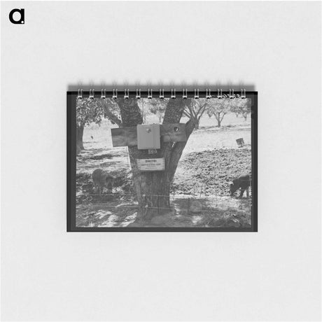 アートメモ帳-Electric Fence, Animas River Valley, Colorado
 - ラッセル リー Memo.