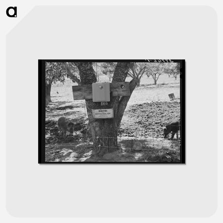 アートポストカード-Electric Fence, Animas River Valley, Colorado
 - ラッセル リー Postcard.