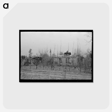 アートポストカード-Farmhouse of Pine Area, New Jersey
 - ラッセル リー Postcard.