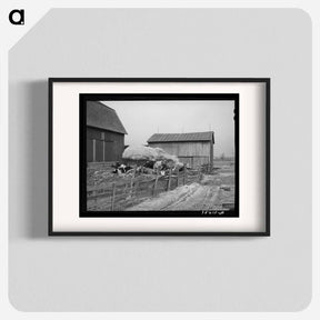 アートポスター-Barnyard Scene, Hancock County, Ohio
 - ラッセル リー Poster.