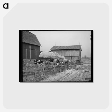 アートポストカード-Barnyard Scene, Hancock County, Ohio
 - ラッセル リー Postcard.