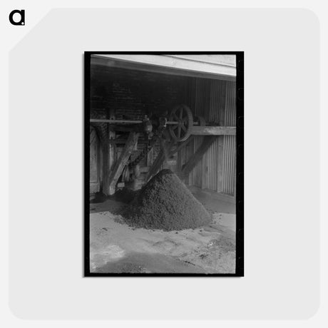 アートポストカード-State Mill, Abbeville, Louisiana
 - ラッセル リー Postcard.