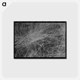 アートポストカード-Stubble Field, Eureka Flats, Walla Walla County, Washington
 - ラッセル リー Postcard.