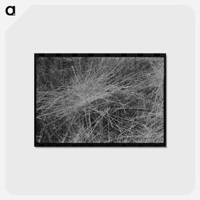 アートポストカード-Stubble Field, Eureka Flats, Walla Walla County, Washington
 - ラッセル リー Postcard.