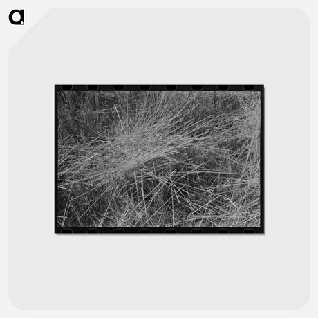 アートポストカード-Stubble Field, Eureka Flats, Walla Walla County, Washington
 - ラッセル リー Postcard.