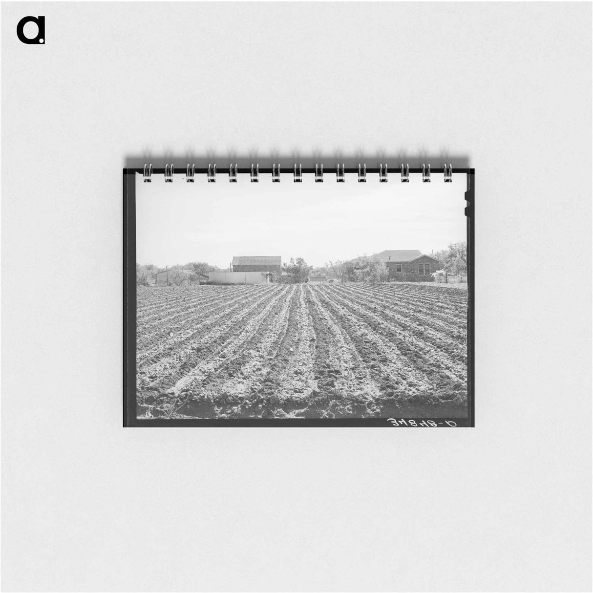 アートメモ帳-Spinach Field, Tom Green County, Texas
 - ラッセル リー Memo.