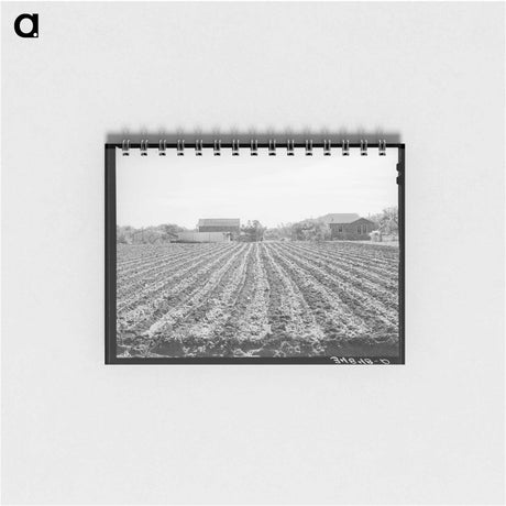 アートメモ帳-Spinach Field, Tom Green County, Texas
 - ラッセル リー Memo.