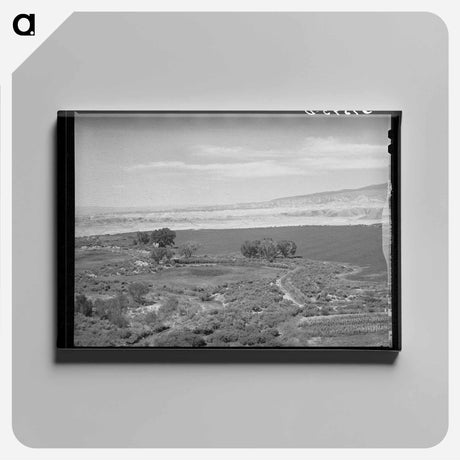 アートパネル-Irrigated Farmland, Delta County, Colorado
 - ラッセル リー Canvas.
