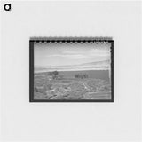 アートメモ帳-Irrigated Farmland, Delta County, Colorado
 - ラッセル リー Memo.