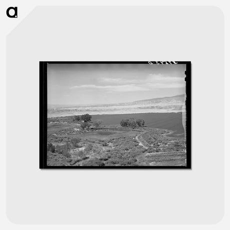 アートポストカード-Irrigated Farmland, Delta County, Colorado
 - ラッセル リー Postcard.