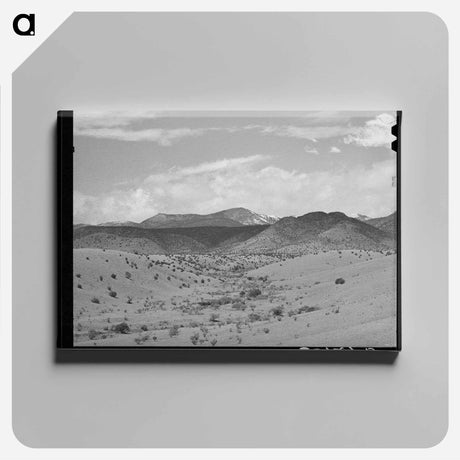 アートパネル-Desert Wash, Socorro County, New Mexico
 - ラッセル リー Canvas.