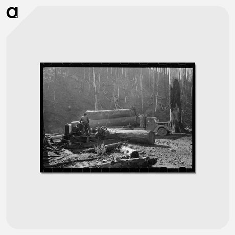 アートポストカード-Loading Logs onto Truck, Tillamook County, Oregon
 - ラッセル リー Postcard.