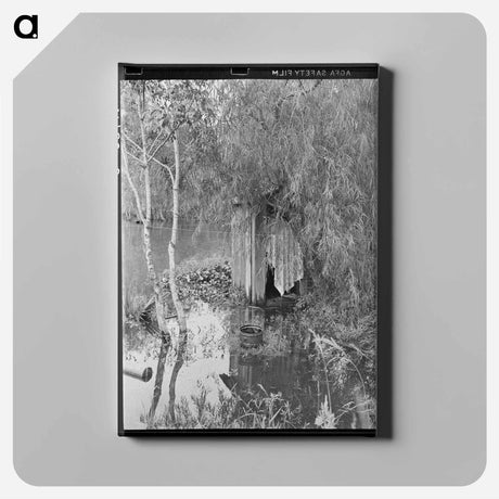 アートパネル-Privy in Bayou, Akers, Louisiana
 - ラッセル リー Canvas.