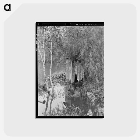 アートポストカード-Privy in Bayou, Akers, Louisiana
 - ラッセル リー Postcard.