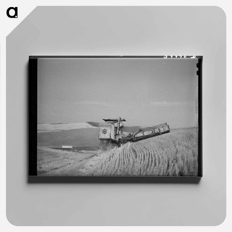 アートパネル-Caterpillar-Drawn Combine in Wheat Fields, Whitman County, Washington
 - ラッセル リー Canvas.