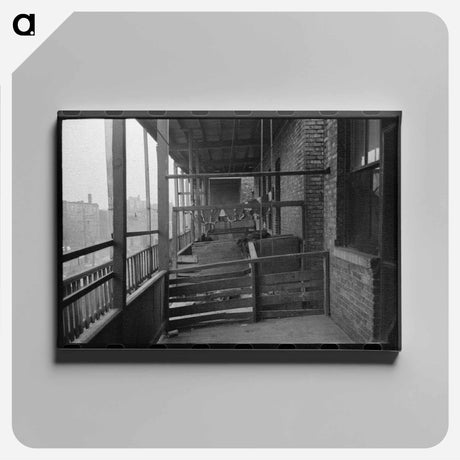 アートパネル-Back Porches of Apartment Building, Chicago
 - ラッセル リー Canvas.