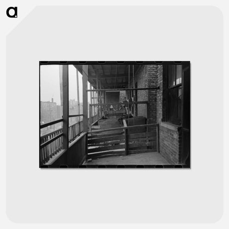 アートポストカード-Back Porches of Apartment Building, Chicago
 - ラッセル リー Postcard.