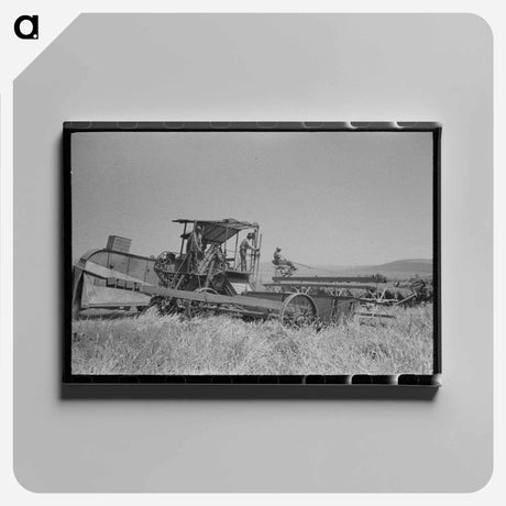 アートパネル-Wheat Harvest, Walla Walla County
 - ラッセル リー Canvas.
