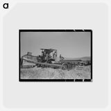 アートポストカード-Wheat Harvest, Walla Walla County
 - ラッセル リー Postcard.