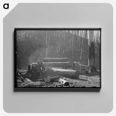 アートパネル-Loading Logs onto Truck with Cables from Donkey Engine, Tillamook County, Oregon
 - ラッセル リー Canvas.