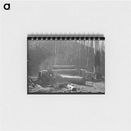 アートメモ帳-Loading Logs onto Truck with Cables from Donkey Engine, Tillamook County, Oregon
 - ラッセル リー Memo.