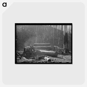 アートポストカード-Loading Logs onto Truck with Cables from Donkey Engine, Tillamook County, Oregon
 - ラッセル リー Postcard.