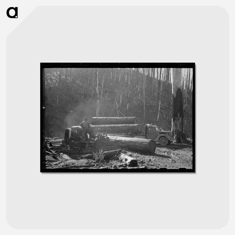 アートポストカード-Loading Logs onto Truck with Cables from Donkey Engine, Tillamook County, Oregon
 - ラッセル リー Postcard.