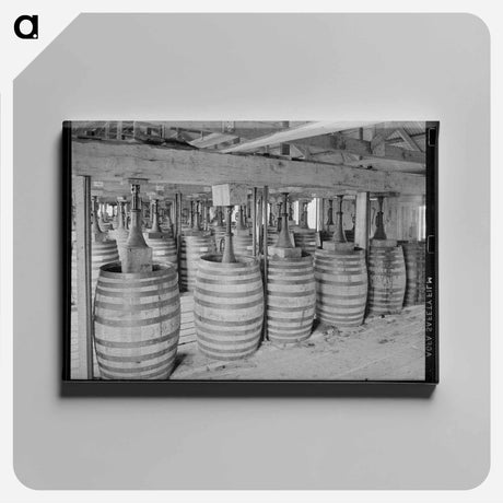アートパネル-Barrels of Perique Tobacco Aging
 - ラッセル リー Canvas.