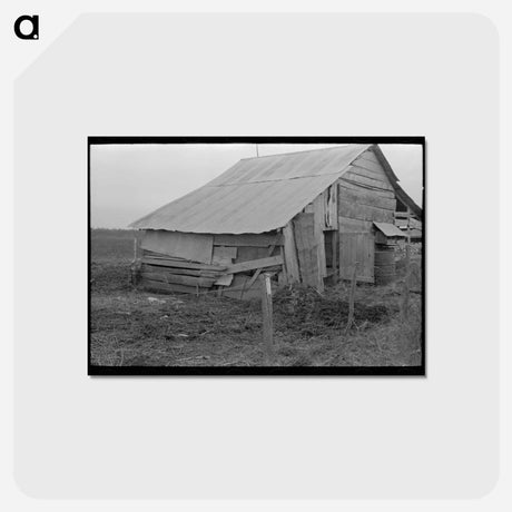 アートポストカード-House of Sharecroppers near Pace, Mississippi
 - ラッセル リー Postcard.