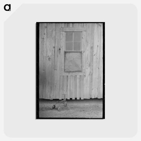 アートポストカード-Sharecropper's Cabin near Pace, Mississippi
 - ラッセル リー Postcard.