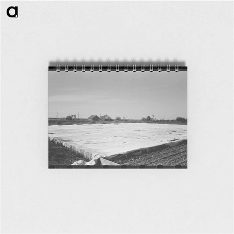 アートメモ帳-Frame Gardens on Truck Farm near San Angelo, Texas
 - ラッセル リー Memo.