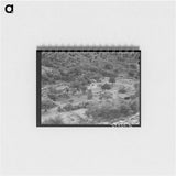 アートメモ帳-Ranch in the Valley, Cochise County, Arizona
 - ラッセル リー Memo.