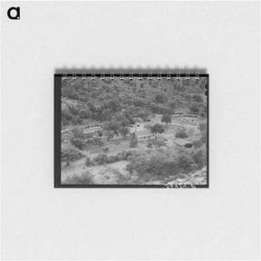 アートメモ帳-Ranch in the Valley, Cochise County, Arizona
 - ラッセル リー Memo.