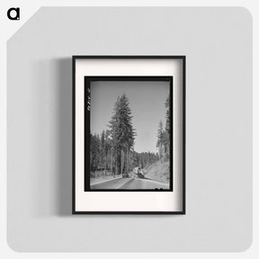 アートポスター-Log Transport, Clatsop County, Oregon
 - ラッセル リー Poster.