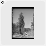 アートポストカード-Log Transport, Clatsop County, Oregon
 - ラッセル リー Postcard.