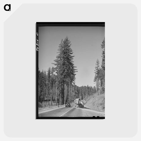 アートポストカード-Log Transport, Clatsop County, Oregon
 - ラッセル リー Postcard.