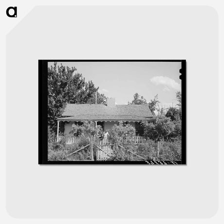 アートポストカード-Mormon Farmer's Home, Santa Clara
 - ラッセル リー Postcard.