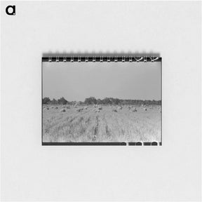 アートメモ帳-Cranes in Rice Field, Crowley, Louisiana
 - ラッセル リー Memo.
