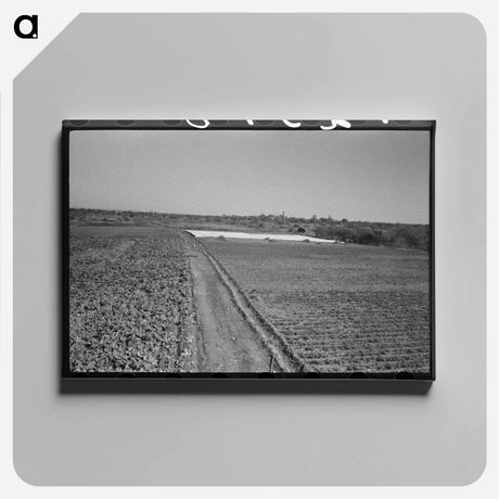 アートパネル-Truck Farm with Frame Garden near San Angelo, Texas
 - ラッセル リー Canvas.