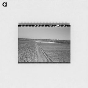 アートメモ帳-Truck Farm with Frame Garden near San Angelo, Texas
 - ラッセル リー Memo.
