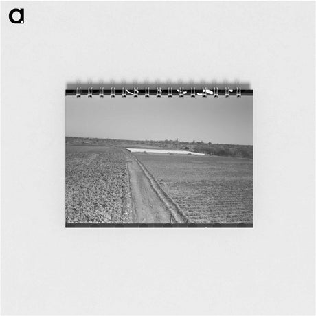 アートメモ帳-Truck Farm with Frame Garden near San Angelo, Texas
 - ラッセル リー Memo.